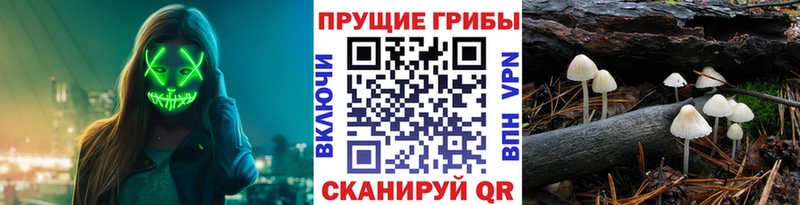 Галлюциногенные грибы прущие грибы магазин продажи Балтийск